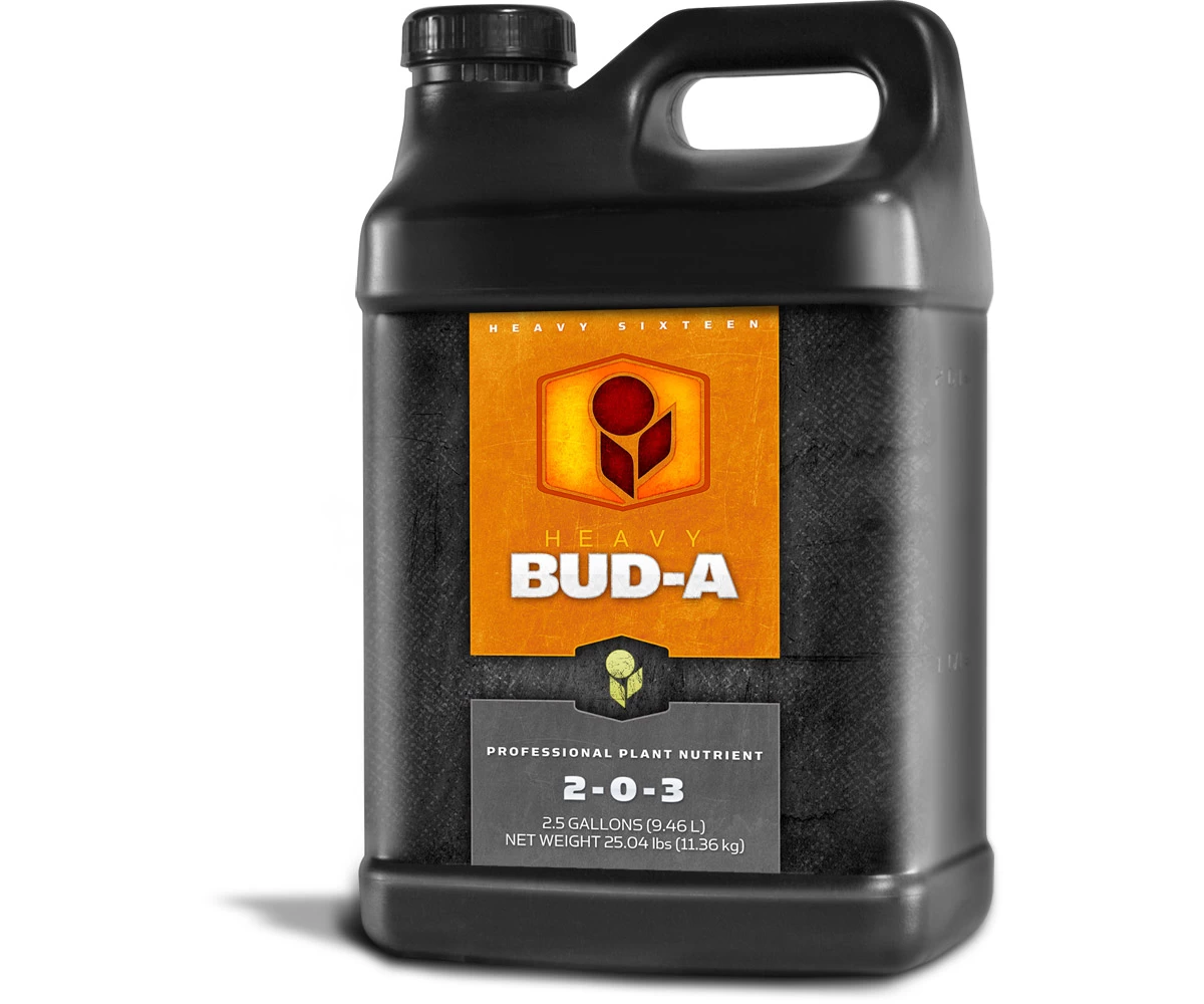 Heavy 16 Bud - Thumbnail 3