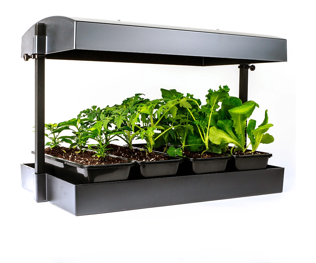 SunBlaster LED Grow Light Garden - Thumbnail 3