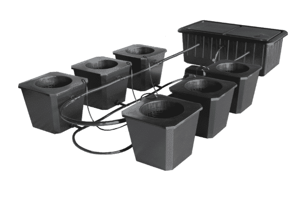 Hydroponic Bucket Systems | DWC & Growing Buckets | Cannavista