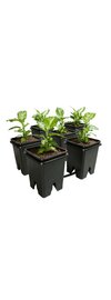 Active Aqua Grow Flow 2.0 Expansion Kit with Six 5-Gal Square Pots
