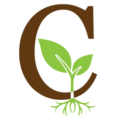 CannaBasics CannaBasics