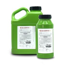 Marrone Bio Grandevo WDG Insecticide - 6 lb
