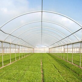 Berry Tufflite Nursery 1-Year Greenhouse Film - 3 mil - 32 x 100-ft - Clear
