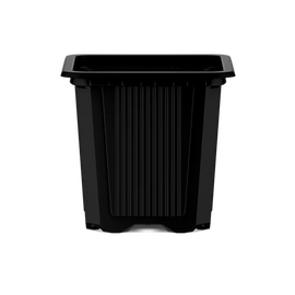 Poppelmann TEKU VQF Square Thermoformed Pot - Black - 3.33 x 3.33 x 3.75-in - 1 Pt Capacity - Case of 2352