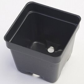 Landmark Plastic Press-Fit Square Nursery Pot - 2.63 x 2.25-in - Black - Case of 800
