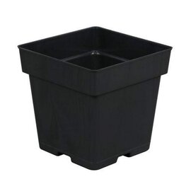 Belden Plastics Jumbo Pot - 5.25-in - Square - Black - 56.8 Oz Capacity - Case of 200
