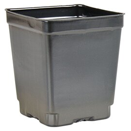 Belden Plastics Jumbo Junior Pot - 4.5-in - Square - Black - 35.1 Oz Capacity - Case of 375