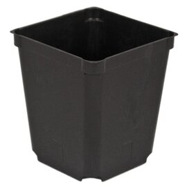 Belden Plastics Magnum Square Plastic Pot - 6-in - Black - Case of 150