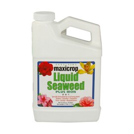 Maxicrop Liquid Seaweed Plus 2% Iron 0-0-1 - 32 Oz