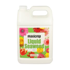 Maxicrop Liquid Seaweed 0-0-1 - 1 Gal