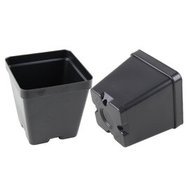 Grower Select Square Co-Extruded Standard Pot - Black - 3.5-in - 1.08 Pt Capacity - Case of 684