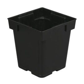 Belden Plastics Jumbo Senior Pot - 5.25-in - Square - Black - 67.6 Oz Capacity - Case of 200