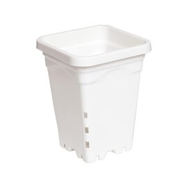 Active Aqua Square Pot - 5 x 5 x 7-in - White - Case of 100
