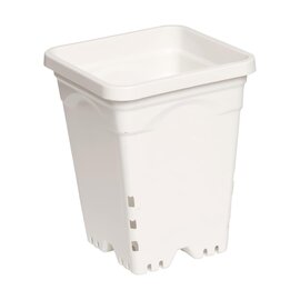 Active Aqua Square Pot - 6 x 6 x 8-in - White - Case of 50