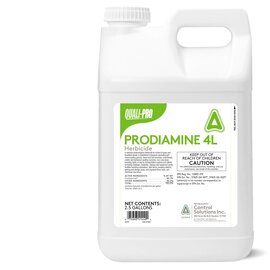 Quali-Pro Prodiamine 4L Pre-Emergent Herbicide - 40.8% Prodiamine - 2.5 Gal