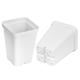 Sunpack Square Pot - 2.5-in - White