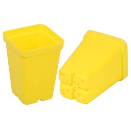 Sunpack Square Pot - 2.5-in - Yellow
