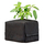 Botanicare CocoPro Coir Cube - 130ct - 4in x 4in x 4in