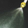 Dramm Seedling Nozzle | 0.5gpm - 3/4in Thread