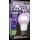 MiracleLED Multi-Plant Wide Angle Grow Light Bulb | Replaces 150W - 11W Red & Blue Spectrum LED - Grow Light for Photosynthesis