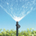 Raindrip Quarter Circle Adjustable Sprayer | 5pk