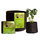Smart Pot, 2 gal, 8" x 7"