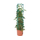 Heavy Duty Tomato Barrel w/Tower (Case of 4)