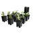 Active Aqua Grow Flow 5-Gal Bucket System with Controller Unit and 3/4-in Tubing