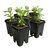 Active Aqua Grow Flow 2.0 Expansion Kit with Six 5-Gal Square Pots