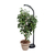 Agrobrite Standing CFL Plant Lamp, 27W