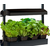 Sunblaster Micro T5 Grow Light Garden, Black