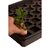 Jump Start AccelaROOT 50-Cell Insert with Tray and Starter Plugs