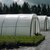 AT Thermax IR/AC 4-Year Greenhouse Film, 6mil - 32ft x 100ft - Diffused