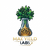 Max Yield Labs