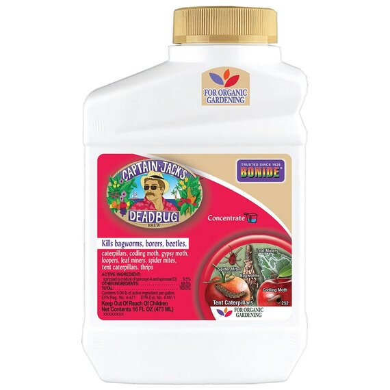 Bonide Captain Jack's Deadbug Brew Concentrate - 16 Oz