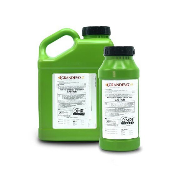 Marrone Bio Grandevo WDG Insecticide - 6 lb