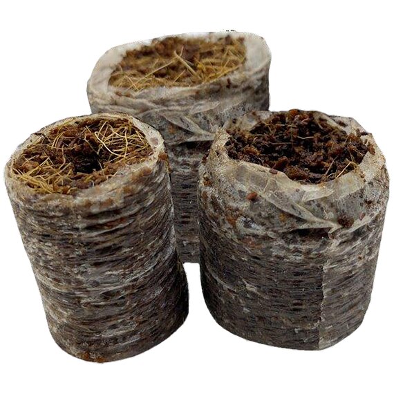 RIOCOCO Closed Bottom Propagation Plugs - 32mm