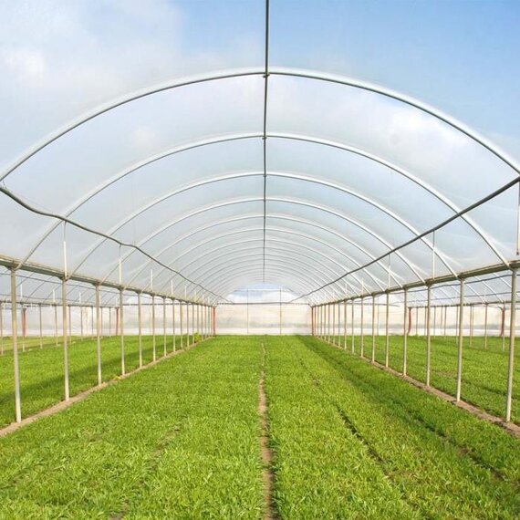 Berry Tufflite Nursery 1-Year Greenhouse Film - 3 mil - 32 x 100-ft - Clear