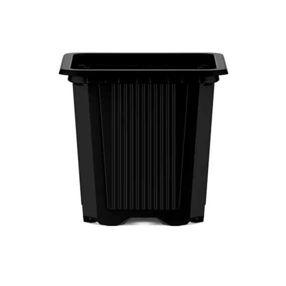 Poppelmann TEKU VQF Square Thermoformed Pot - Black - 3.33 x 3.33 x 3.75-in - 1 Pt Capacity - Case of 2352