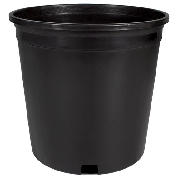 The HC Companies Perennial Pot - 4.75 x 4.75-in - Black - Case of 475