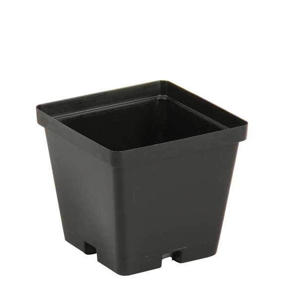 The HC Companies Square Thinwall Pot with Tag Locator - 3.96 x 3.62-in - Black - Case of 846