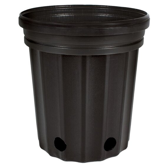 The HC Companies Elite 300 Nursery Pot - 6.5 x 7-in - Black - Case of 65