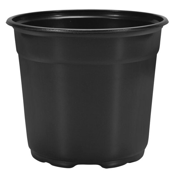 The HC Companies Short Greenhouse Pot - 6 x 4.17-in - Green - Case of 680