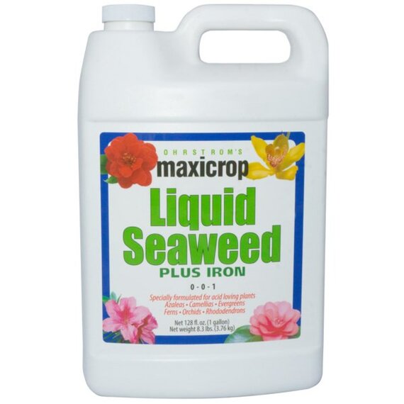 Maxicrop Liquid Seaweed Plus 2% Iron 0-0-1 - 1 Gal
