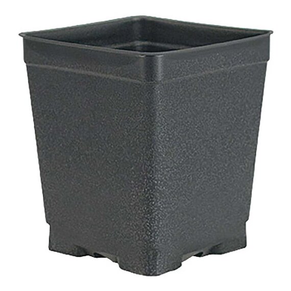 The HC Companies Square Deep Press Fit Pot - 2.62 x 3.5-in - Black - Case of 800