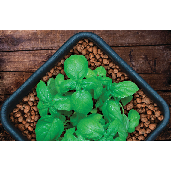 GROW!T Clay Pebbles, 10 L