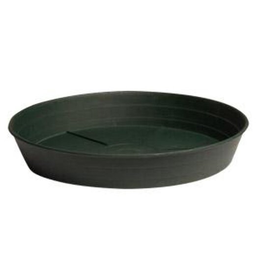 Hydrofarm Green Premium Saucer - 8-in - Pack of 25