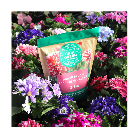 Gaia Green Power Bloom, 500 g Pouch