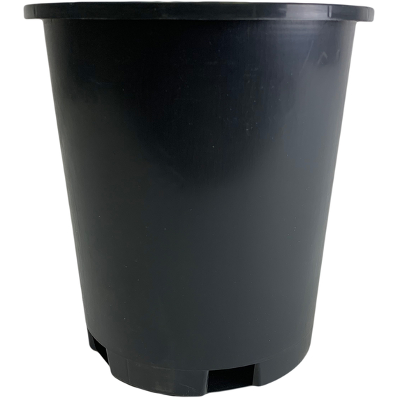 Pro Cal Premium Nursery Pot, 1 gal (bottom drain)