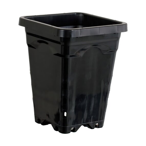 Active Aqua Square Pot - 5 x 5 x 7-in - Black - Case of 100